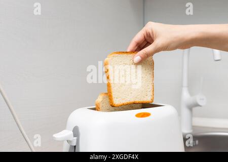 mano di donna che mette il pane nel tostapane. casalinga che frigge il pane in un tostapane, in cucina. donna che fa un brindisi. tostare il pane in un tostapane. classi Foto Stock