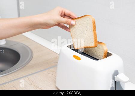 mano di donna che mette il pane nel tostapane. casalinga che frigge il pane in un tostapane, in cucina. donna che fa un brindisi. tostare il pane in un tostapane. classi Foto Stock