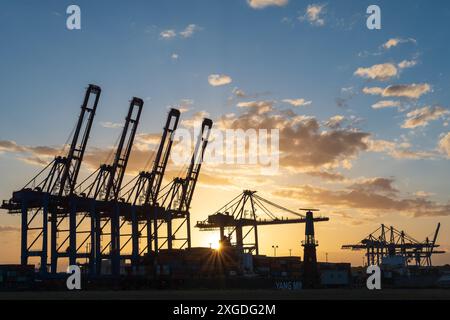 AMBURGO, GERMANIA - 4 luglio 2024: Gru nel porto di Amburgo al tramonto, terminal delle navi da crociera Steinwerder Foto Stock