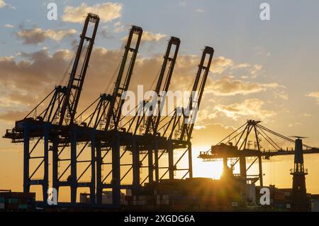 AMBURGO, GERMANIA - 4 luglio 2024: Gru nel porto di Amburgo al tramonto, terminal delle navi da crociera Steinwerder Foto Stock