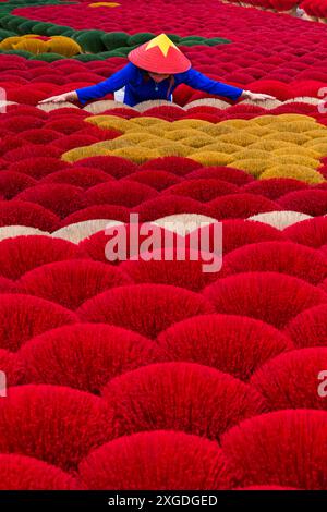 L'incenso rosso vibrante è disposto a terra per asciugare al sole a Quang Phu Cau, Ung Hoa, Vietnam del Nord, Asia a giugno - bastoncini di incenso rosso donna Foto Stock