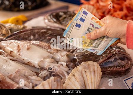 prezzi del pesce nei negozi. Una donna tiene in mano dei soldi sullo sfondo di una tribuna con pesci, calamari e gamberi, soldi in euro Foto Stock