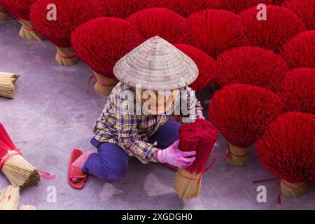 L'incenso rosso vibrante è disposto a terra per asciugare al sole a Quang Phu Cau, Ung Hoa, Vietnam del Nord, Asia a giugno - bastoncini di incenso rosso donna Foto Stock