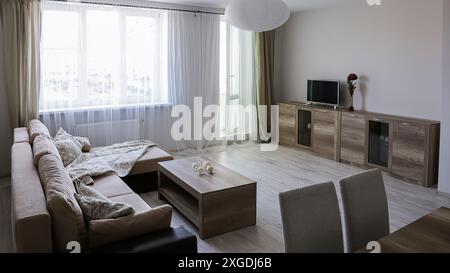 Interno di un nuovo appartamento moderno con divano, cassettiera, tavolo, TV, vaso con fiore rosso, un altro tavolo con due sedie, colori pastello. Foto Stock