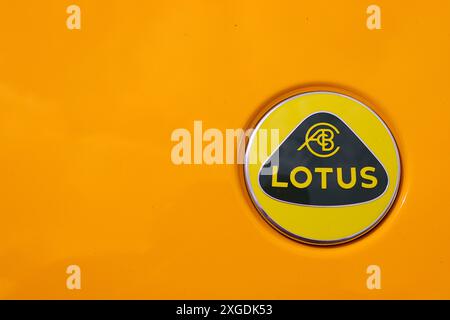 Primo piano dell'inconfondibile logo Lotus Cars montato su una Lotus Esprit Turbo se rifinita in giallo cromato, giugno 2024. Foto Stock