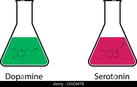 Matracci conici di Erlenmeyer contenenti serotonina e dopamina. Formule chimiche. Illustrazione vettoriale. Illustrazione Vettoriale