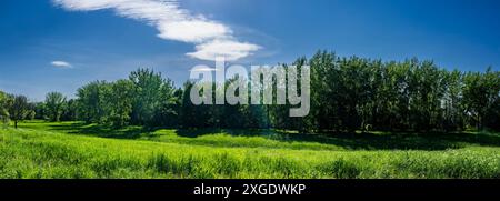 Vista panoramica dei prati verdi lungo il fiume St. Lawrence Foto Stock