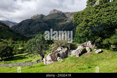 Coppa preistorica Copt Howe e anello marcati massi presso Chapel stile. Alias Langdale Boulders. Dietro il sito della fabbrica di asce Langdale Pikes. Cumbria, Inghilterra Foto Stock