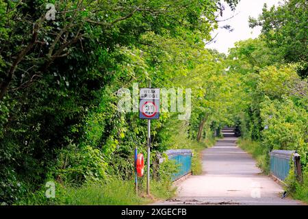 Segnale ponte debole, Cosmeston Lakes and Country Park, Penarth, Cardiff, Galles del Sud. Data: Luglio 2024 Foto Stock