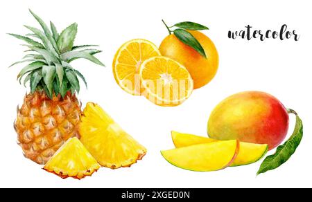 Illustrazione ad acquerello di ananas, arancio e mango, creando un'opera d'arte colorata Foto Stock