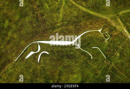 Uffington White Horse. Figura preistorica di gesso di 3500 anni scolpita in una collina di gesso del Berkshire Downs, Oxfordshire, Inghilterra. 360 piedi di lunghezza Foto Stock