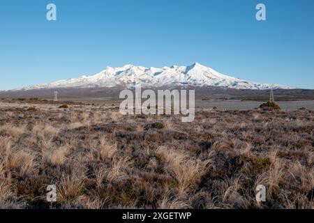 Vista mattutina del Monte Ruapehu innevato, nuova Zelanda Foto Stock