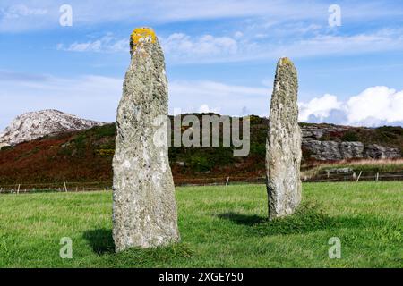 Penrhos Feilw coppia di pietre preistoriche vicino a Holyhead, Anglesey, Galles. 3 m di altezza. Vista dal Neolitico di S. o dall'età del bronzo. Holyhead Mountain alle spalle Foto Stock