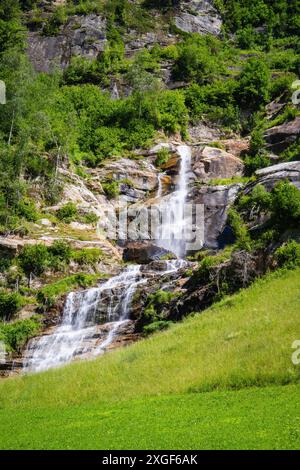 Piccola cascata che scorre su scogliere ricoperte di piante, circondata da un paesaggio verde, Zillertal, Austria, Germania Foto Stock