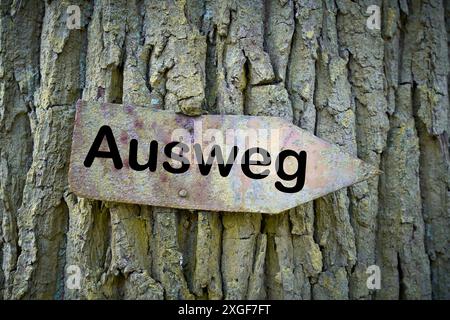 Vecchio cartello arrugginito con la parola Ausweg (via d'uscita) su un albero Foto Stock