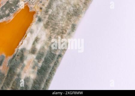 Fette di formaggio giallo ammuffito disposte su un tagliere di bambù. Spore di muffa verdi sul cibo. Cibo sprecato scaduto Foto Stock