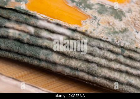 Fette di formaggio giallo ammuffito disposte su un tagliere di bambù. Spore di muffa verdi sul cibo. Cibo sprecato scaduto Foto Stock