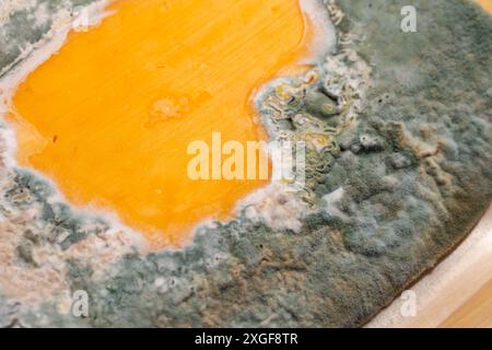 Fette di formaggio giallo ammuffito disposte su un tagliere di bambù. Spore di muffa verdi sul cibo. Cibo sprecato scaduto Foto Stock