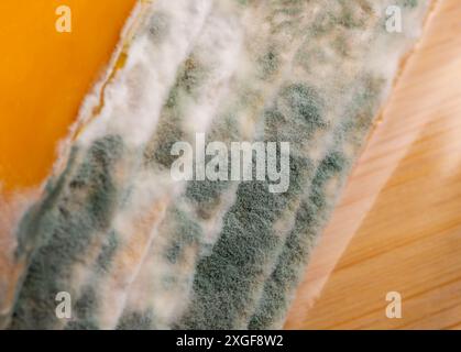 Fette di formaggio giallo ammuffito disposte su un tagliere di bambù. Spore di muffa verdi sul cibo. Cibo sprecato scaduto Foto Stock