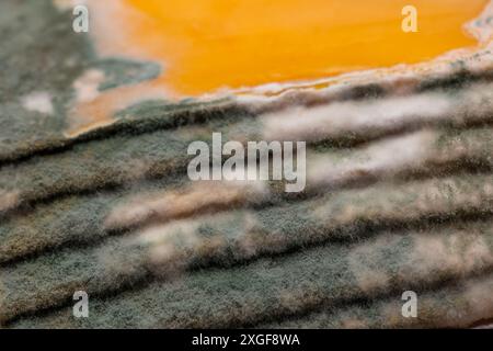 Fette di formaggio giallo ammuffito disposte su un tagliere di bambù. Spore di muffa verdi sul cibo. Cibo sprecato scaduto Foto Stock