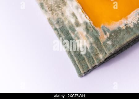 Fette di formaggio giallo ammuffito disposte su un tagliere di bambù. Spore di muffa verdi sul cibo. Cibo sprecato scaduto Foto Stock