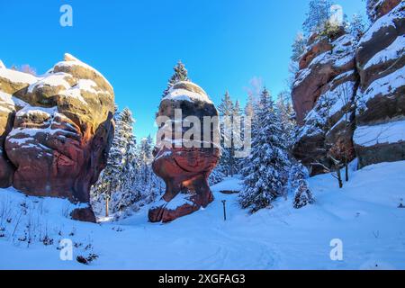 Zittauer Gebirge Kelchstein vicino a Oybin in inverno, Chalice Rock (Kelchstein) nei monti Zittau vicino a Oybin in inverno con molta neve Foto Stock