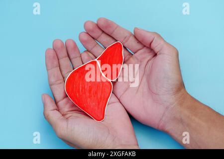 Mano con un segno cardiaco per commemorare la giornata mondiale dell'epatite Foto Stock