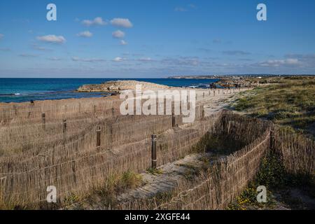 Barriere per la protezione delle dune, spiaggia di Llevant, Formentera, isole Pitiusas, Comunità delle Baleari, Spagna Foto Stock