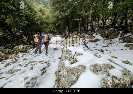 Escursionisti nella foresta di Son Palou, Orient Valley, Bunyola, Maiorca, Isole Baleari, Spagna Foto Stock
