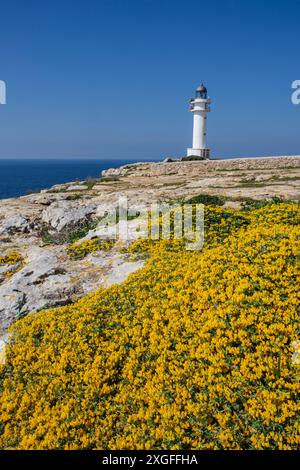 Faro di Cap Barbaria, Formentera, Isole Pitiusas, Comunità Balearica, Spagna Foto Stock