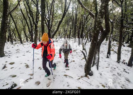 Escursionisti nella foresta di Son Palou, Orient Valley, Bunyola, Maiorca, Isole Baleari, Spagna Foto Stock