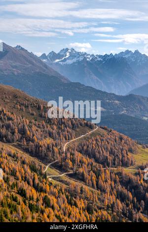 Krahberg sulla Veneta in autunno con larici gialli, Alpi Oetztal, Tirolo, Austria Foto Stock