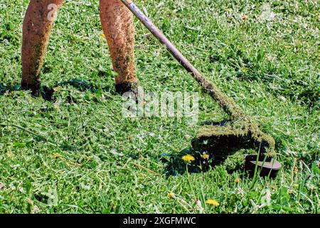 Il giardiniere utilizza un rifinitore per le erbacce senza proteggere la pelle con indumenti protettivi. Foto Stock