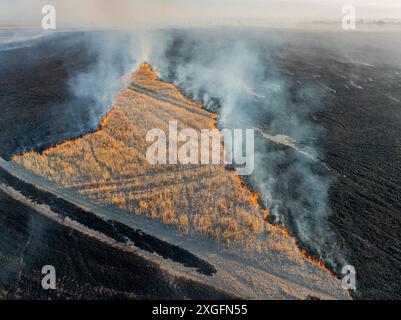 Vista aerea del fumo che si innalza dalle stoppie bruciando in un campo a Moolort nel Victoria centrale, Australia. Foto Stock