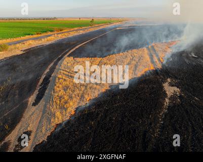 Vista aerea del fumo che si innalza dalle stoppie bruciando in un campo a Moolort nel Victoria centrale, Australia. Foto Stock