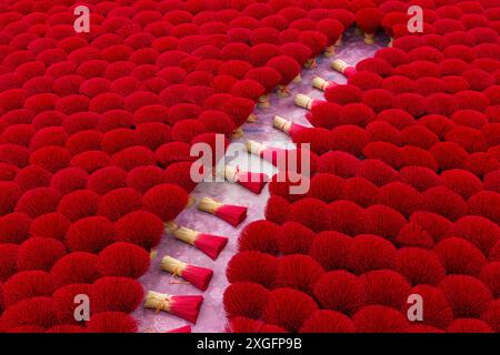 L'incenso rosso vibrante è disposto a terra per asciugare al sole a Quang Phu Cau, Ung Hoa, Vietnam del Nord, Asia a giugno - bastoncini di incenso rossi Foto Stock