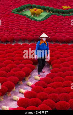 L'incenso rosso vibrante è disposto a terra per asciugare al sole a Quang Phu Cau, Ung Hoa, Vietnam del Nord, Asia a giugno - bastoncini di incenso rosso donna Foto Stock