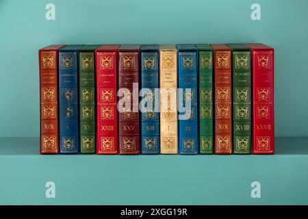 La collezione di libri vintage è collocata in modo ordinato su uno scaffale Foto Stock