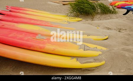 Tavole SUP in fila per il noleggio su una spiaggia sabbiosa in riva al mare. Attrezzatura da surf e paddleboard. Sfondo astratto dei viaggi estivi. Attività sportive. Foto Stock