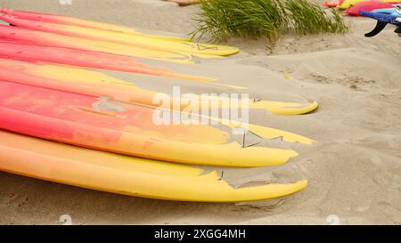 Tavole SUP in fila per il noleggio su una spiaggia sabbiosa in riva al mare. Attrezzatura da surf e paddleboard. Sfondo astratto dei viaggi estivi. Attività sportive. Foto Stock