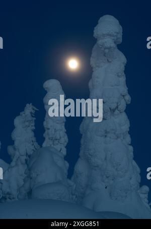 Luna piena che si innalza sul paesaggio invernale coperto di neve al crepuscolo, tikky, Kuntivaara Fell, Finlandia, Europa Foto Stock