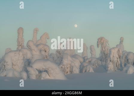 Luna piena che si innalza sul paesaggio invernale coperto di neve al crepuscolo, tikky, Kuntivaara Fell, Finlandia, Europa Foto Stock