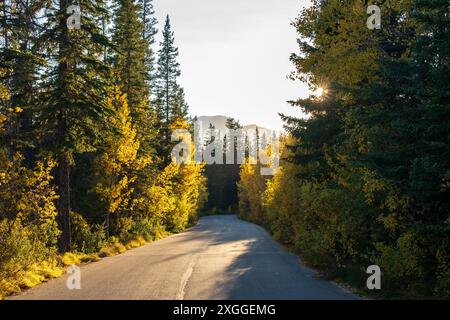 Banff Legacy Trail. Vermilion Lakes in autunno stagione delle foglie giorno di sole. Parco nazionale di Banff, Montagne Rocciose canadesi. Foto Stock