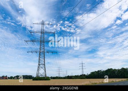 Una fila di alte linee elettriche si staglia contro un cielo blu con soffici nuvole bianche. Le linee si estendono attraverso l'orizzonte, portando in lontananza ad un'area boschiva. Foto Stock