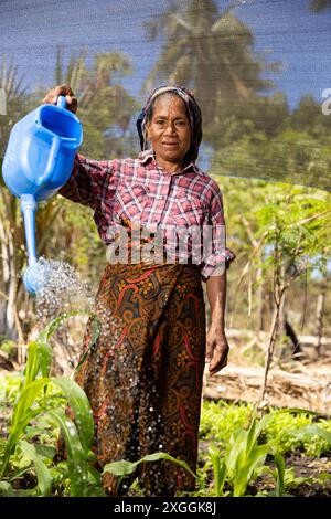 Coltivatore di ortaggi che innaffiano le piante nel suo giardino, l'isola di Atauro, Timor Est. Foto Stock