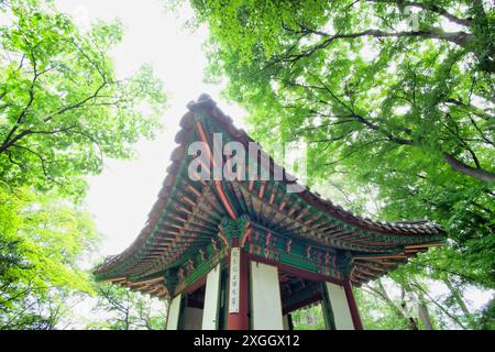 Tetto decorato del tempio coreano con colori vivaci, incorniciato da lussureggianti alberi verdi Foto Stock