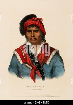 Nea-Math-la, A Seminole Chief 1826, Indianer, Historische Indianerstämme aus Nordamerika, Charles Bird King 1785 - 1862, Historisch, digital restaurie Foto Stock