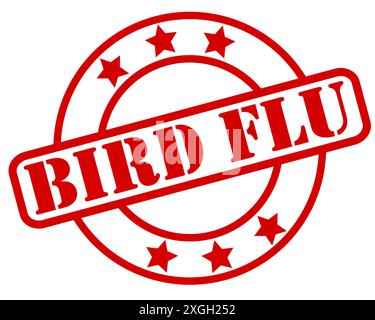 Illustrazione vettoriale del badge H5N1 dell'influenza degli uccelli che mostra l'individuazione della malattia Foto Stock