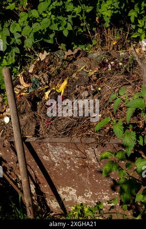 Foto di un cumulo di compost contenente vari materiali organici in varie fasi di decomposizione. Concetto di agricoltura biologica Foto Stock