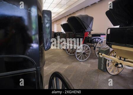 Diego Aragona Pignatelli Cortes Museum Diego Aragona Pignatelli Cortes Museum and Carriage Museum passa sotto la direzione del Palazzo reale di Napoli. ABP03674 Copyright: XAntonioxBalascox Foto Stock